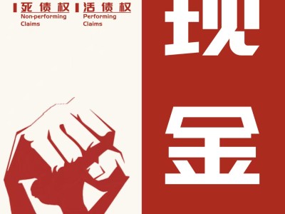 判决书、调解书、借条变现，国有AMC收购民间债权，公账打款